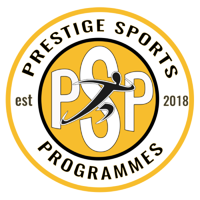 psp logo